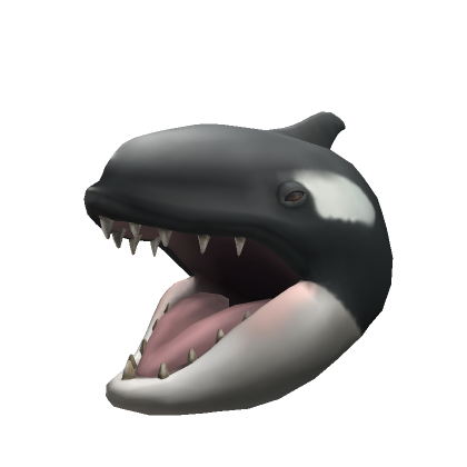 Hungry Orca